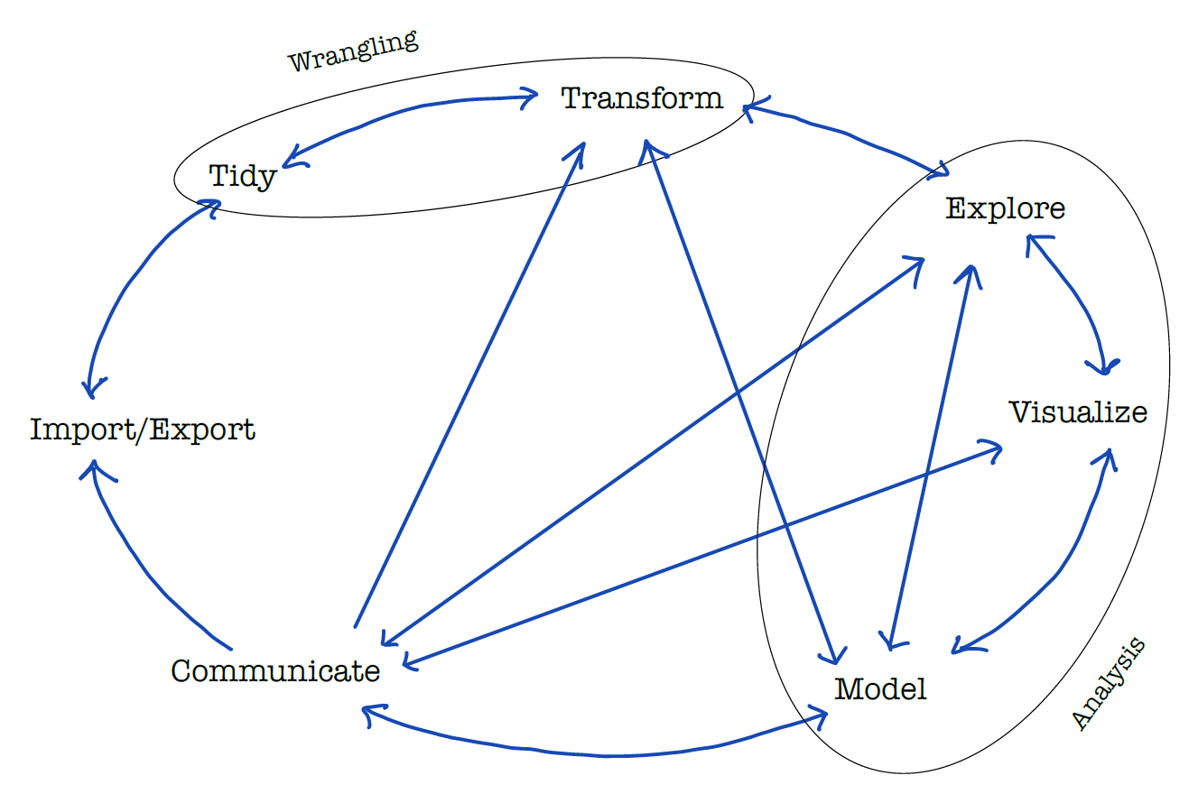 Analytics as a data driven process.